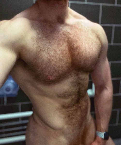 @musclebullpup