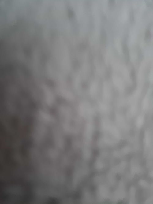 @naughtygirlnextdoorx nude naughtygirlnextdoorx nude