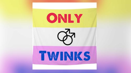@only_twinks