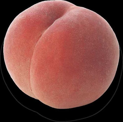 @onlyglutes