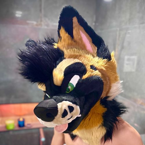 @palacewolf