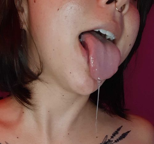 @payaxx