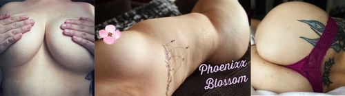 @phoenixxblossom nude phoenixxblossom nude
