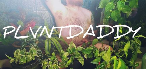 @plvntdaddy nude plvntdaddy nude