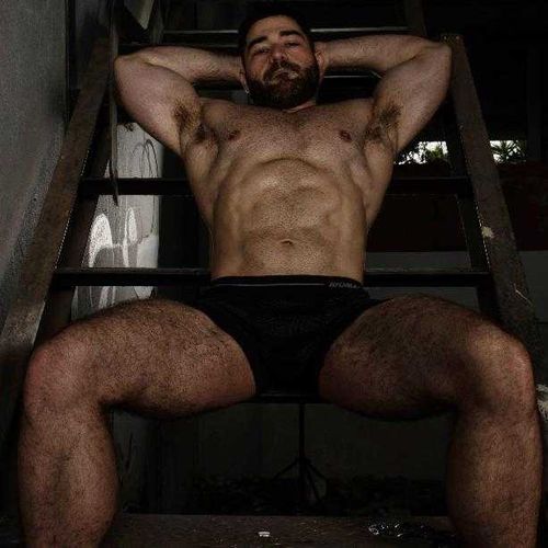 @brazilianmusclebear