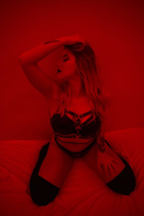 @catsxcradle