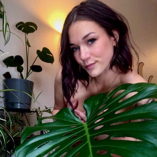 @frenchhbraids