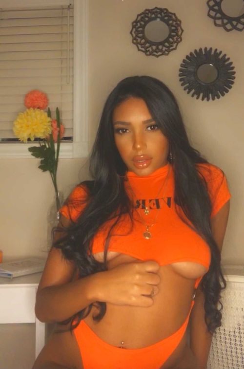 @kcdoll