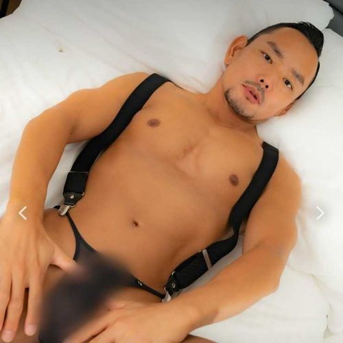 @shin_tro