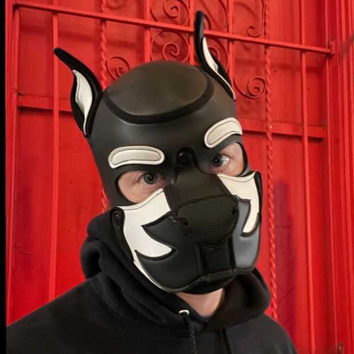 @pupkurt