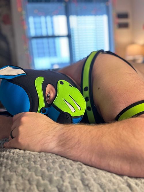 @puppulsar