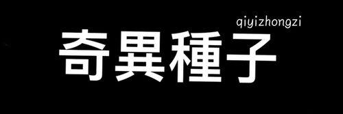 @qiyizhongzi nude qiyizhongzi nude