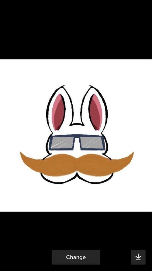 @rabbitandmoustache