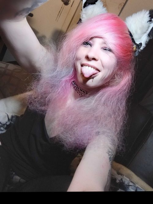 @rainbowwolf4207