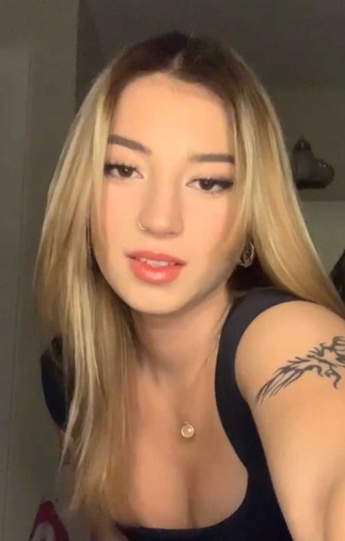 @raynestormm