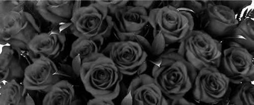 @roseredx1 nude roseredx1 nude