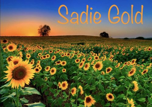 @sadiegold nude sadiegold nude