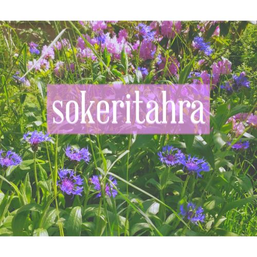 @sokeritahra nude sokeritahra nude