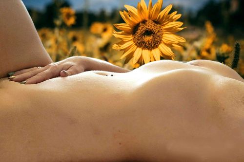 @sukierae nude sukierae nude