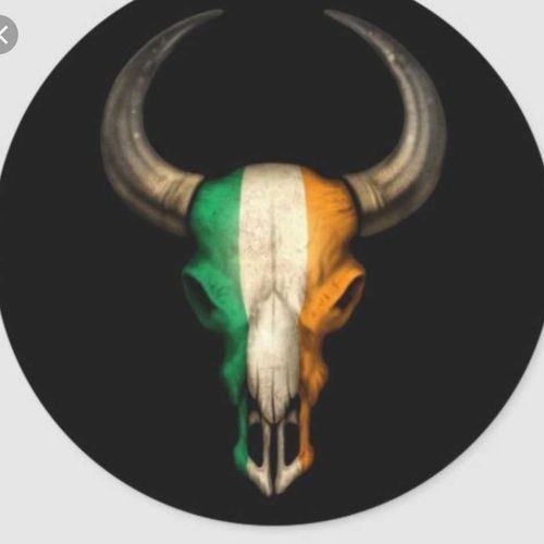@the_irishbull