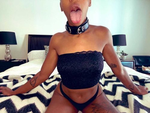 @thecleopanda