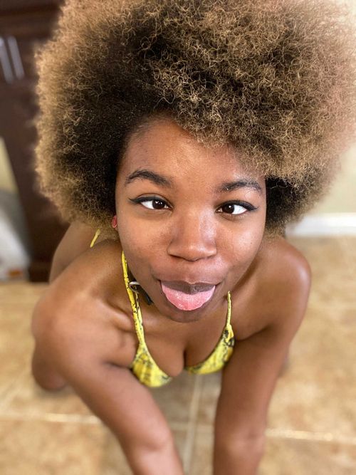 @thenovapandafree