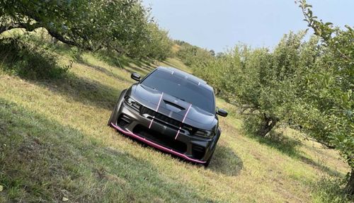 @trailrider95vip nude trailrider95vip nude