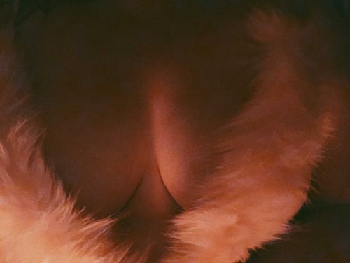 @urfavelulubuggx nude urfavelulubuggx nude
