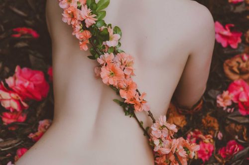 @vauntastic nude vauntastic nude