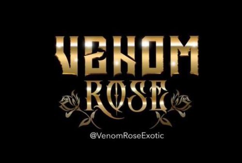 @venomroseexotic nude venomroseexotic nude