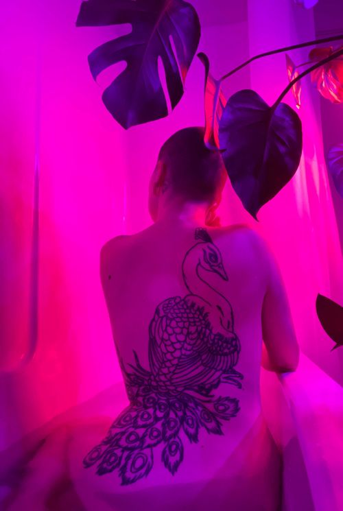 @venusnyxx