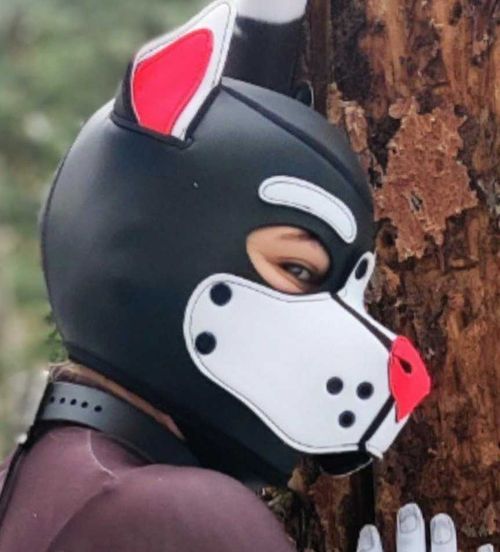@vixxypup