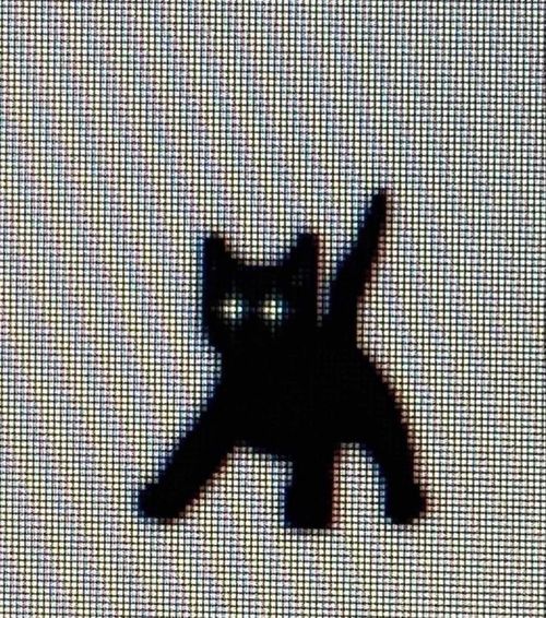 @webkinz666
