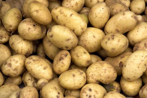 @wholepotato nude wholepotato nude