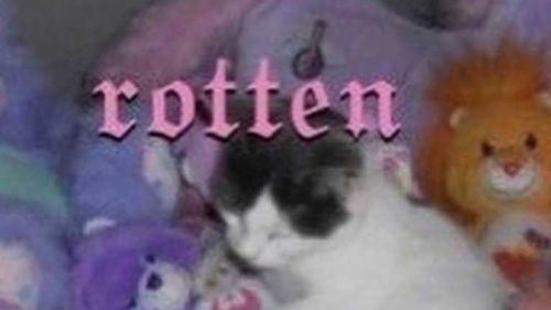 @wholesomefilth nude wholesomefilth nude