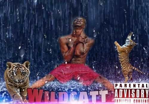 @wildcatt420