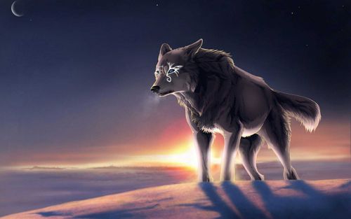 @wolfpositivity nude wolfpositivity nude