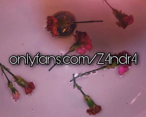 @z4ndr4 nude z4ndr4 nude